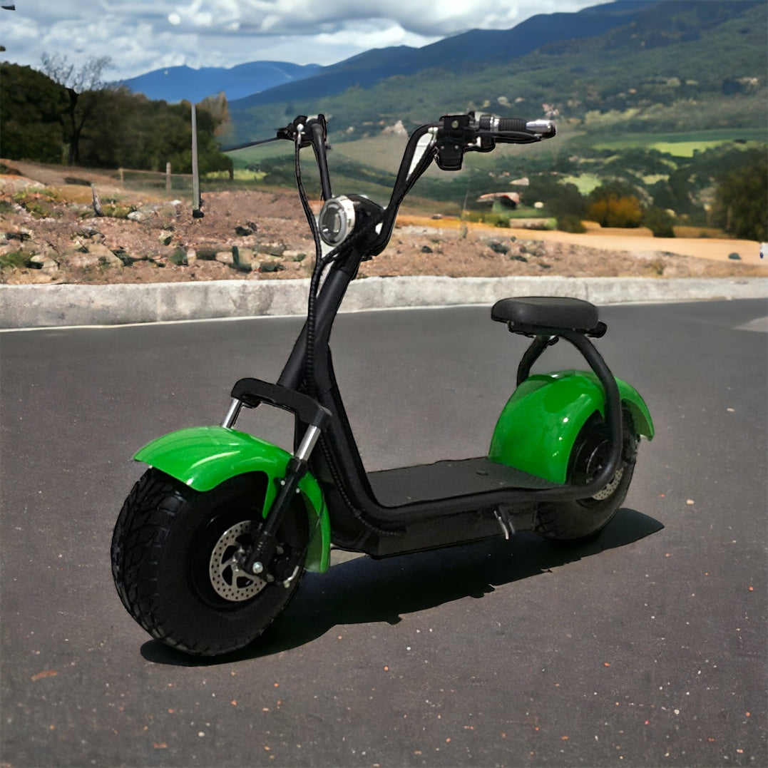 Green 1500W Electric Scooter - Best Fat Tire Scooters  (800) 965-5860 –  Fat Tire Electric Scooter Wholesalers